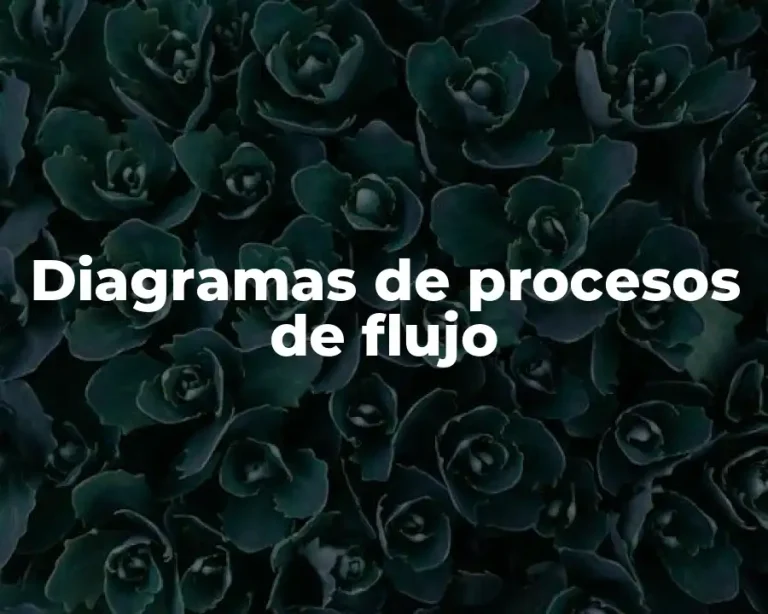 Diagramas de procesos de flujo