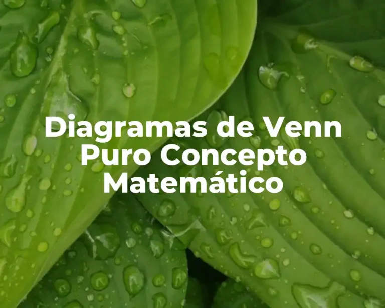 Diagramas de Venn Puro Concepto Matemático