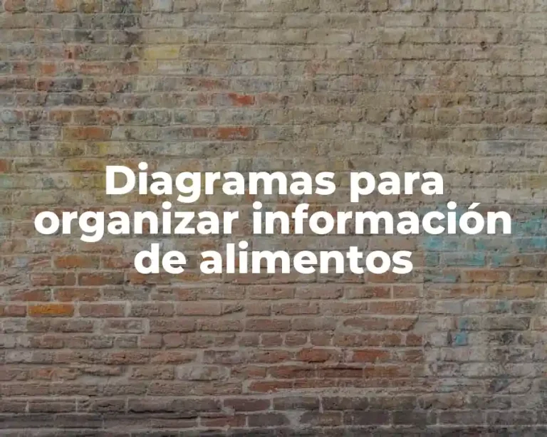 Diagramas para organizar información de alimentos