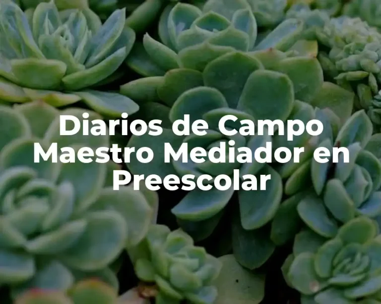 Diarios de Campo Maestro Mediador en Preescolar
