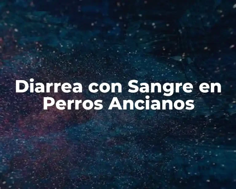 Diarrea con Sangre en Perros Ancianos