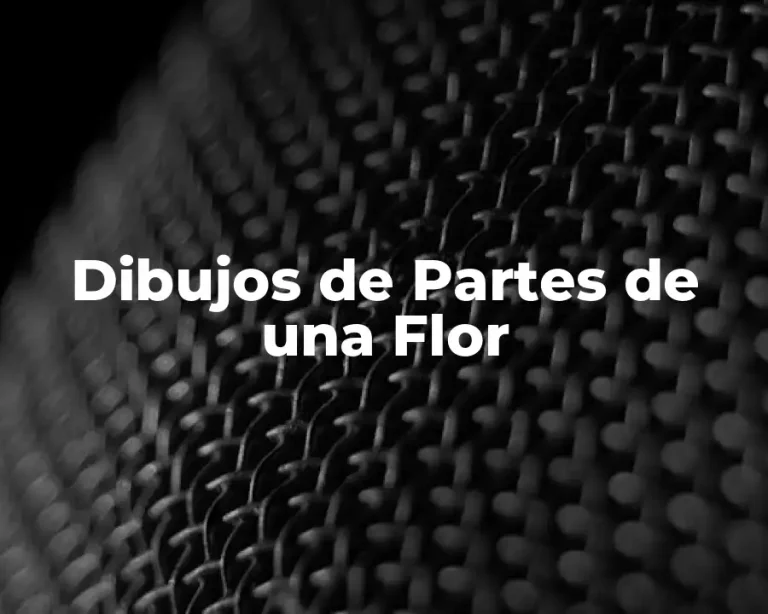 Dibujos de Partes de una Flor