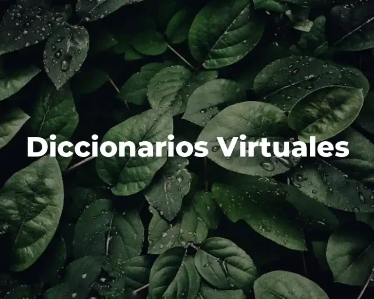 Diccionarios Virtuales