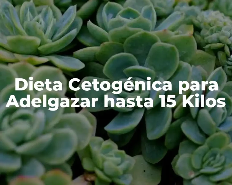Dieta Cetogénica para Adelgazar hasta 15 Kilos