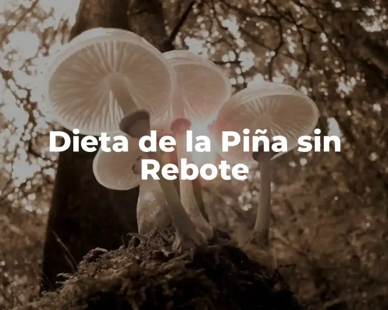 Dieta de la Piña sin Rebote