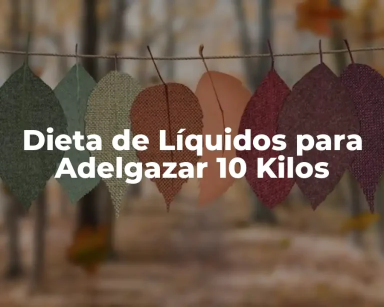 Dieta de Líquidos para Adelgazar 10 Kilos