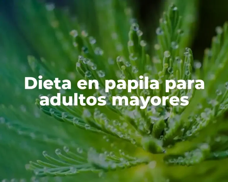Dieta en papila para adultos mayores