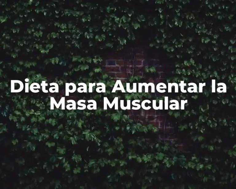 Dieta para Aumentar la Masa Muscular