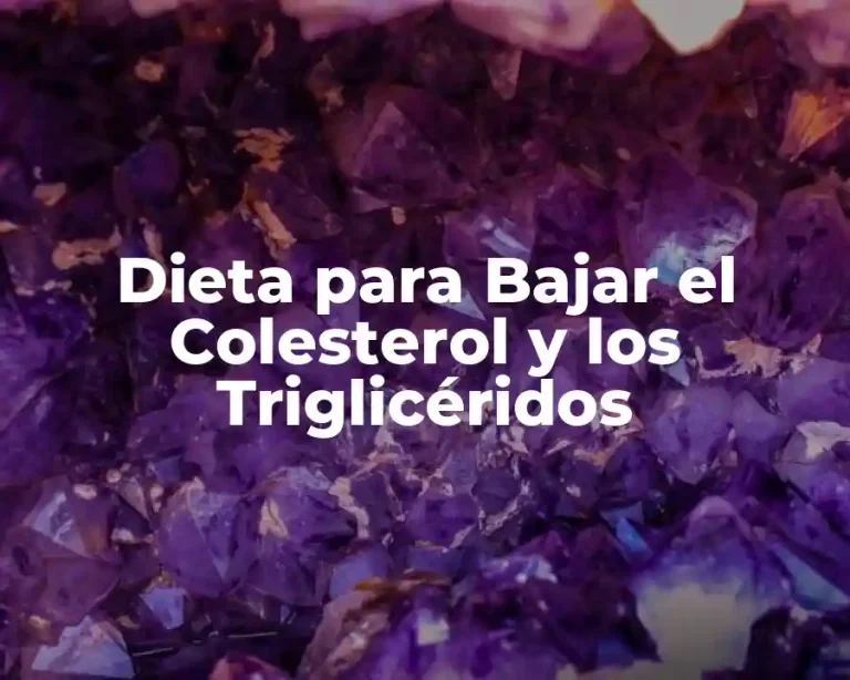 Dieta para Bajar el Colesterol y los Triglicéridos