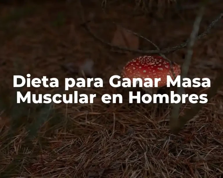 Dieta para Ganar Masa Muscular en Hombres
