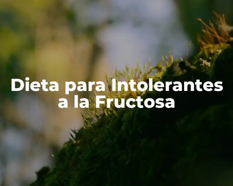 Dieta para Intolerantes a la Fructosa