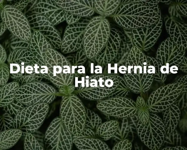 Dieta para la Hernia de Hiato