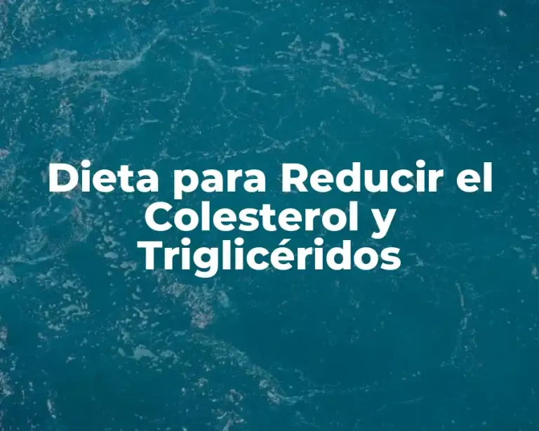 Dieta para Reducir el Colesterol y Triglicéridos