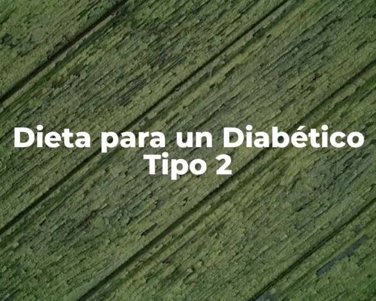 Dieta para un Diabético Tipo 2
