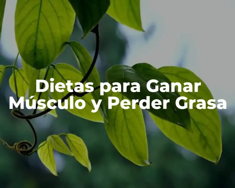 Dietas para Ganar Músculo y Perder Grasa