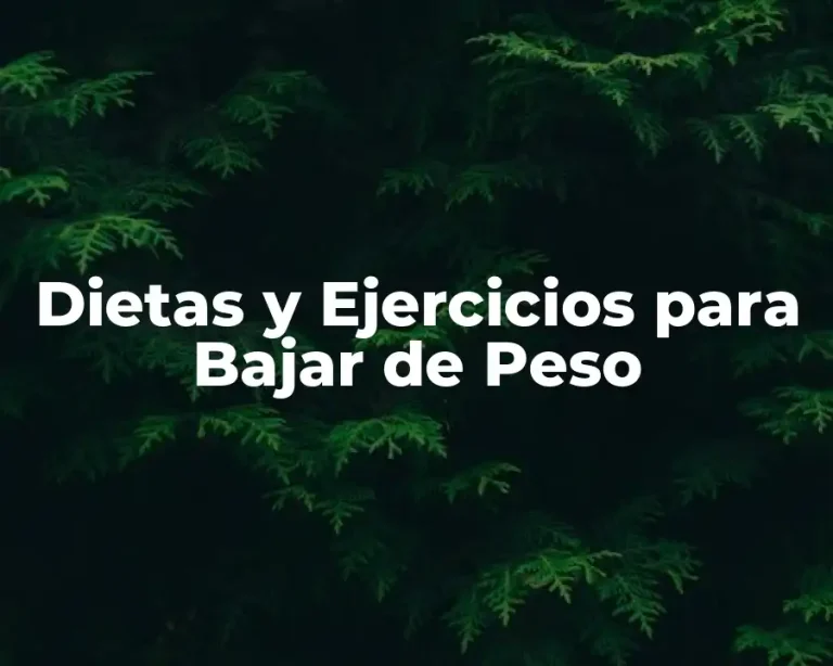 Dietas y Ejercicios para Bajar de Peso