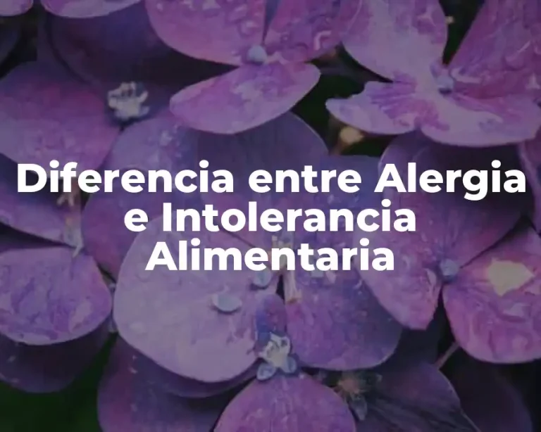 Diferencia entre Alergia e Intolerancia Alimentaria