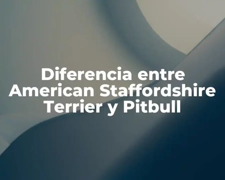 Diferencia entre American Staffordshire Terrier y Pitbull