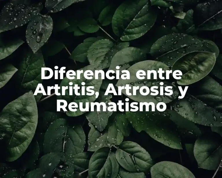Diferencia entre Artritis, Artrosis y Reumatismo