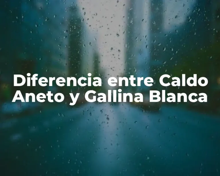 Diferencia entre Caldo Aneto y Gallina Blanca