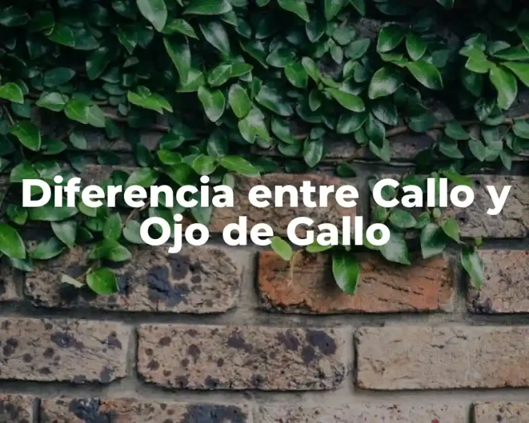 Diferencia entre Callo y Ojo de Gallo