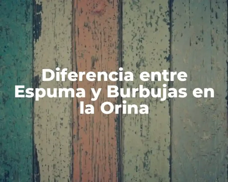 Diferencia entre Espuma y Burbujas en la Orina