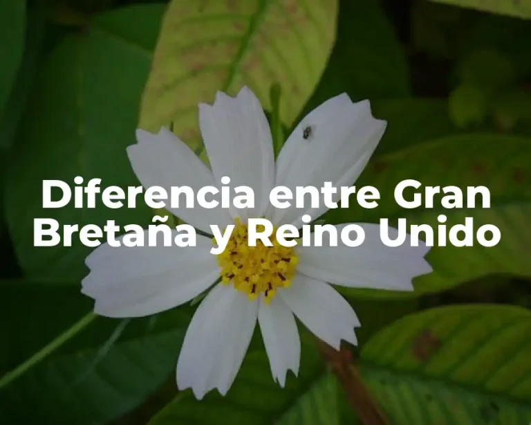 Diferencia entre Gran Bretaña y Reino Unido