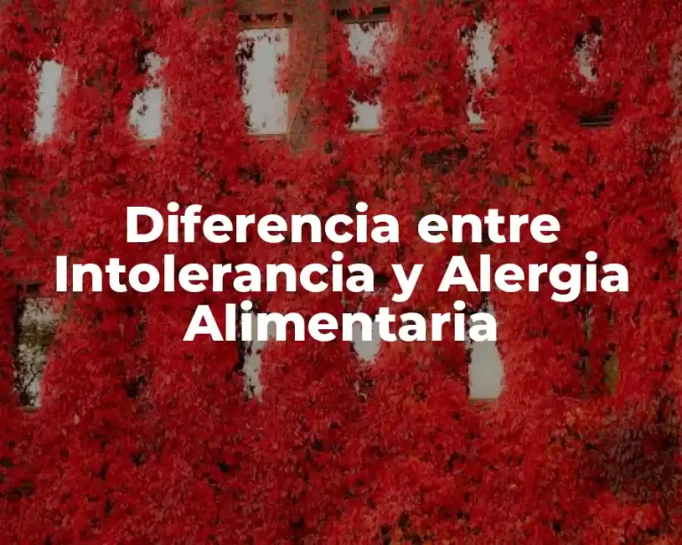 Diferencia entre Intolerancia y Alergia Alimentaria