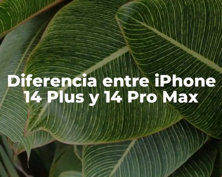 Diferencia entre iPhone 14 Plus y 14 Pro Max