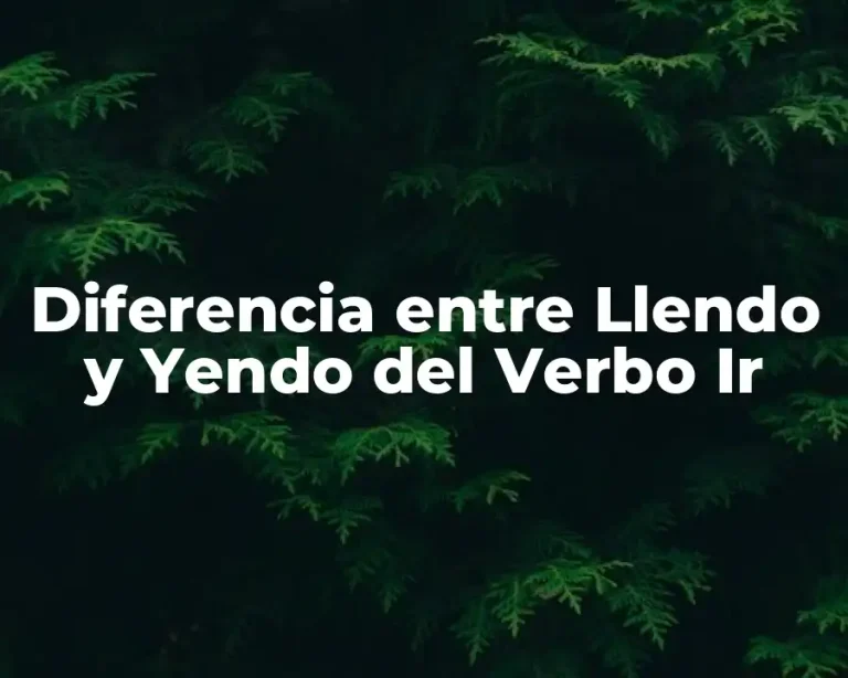 Diferencia entre Llendo y Yendo del Verbo Ir