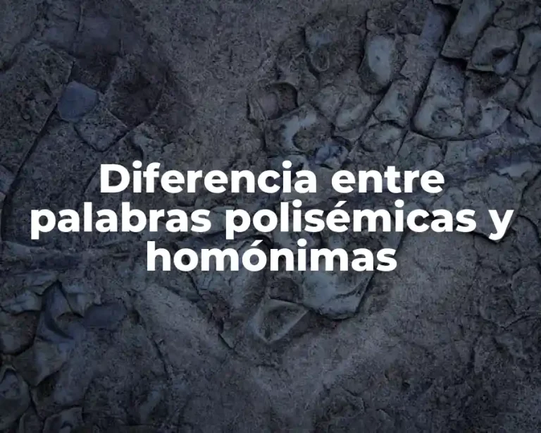 Diferencia entre palabras polisémicas y homónimas