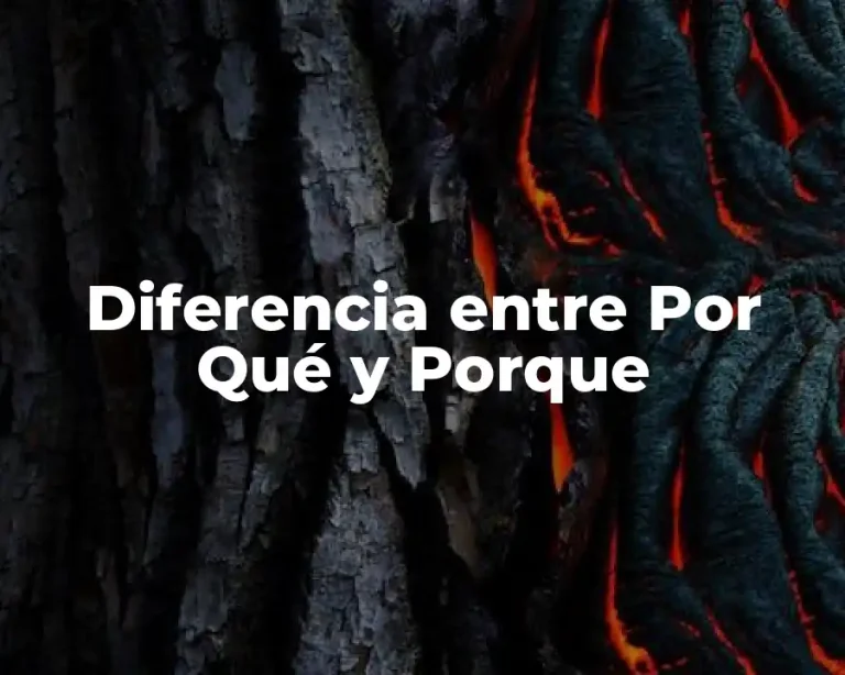 Diferencia entre Por Qué y Porque