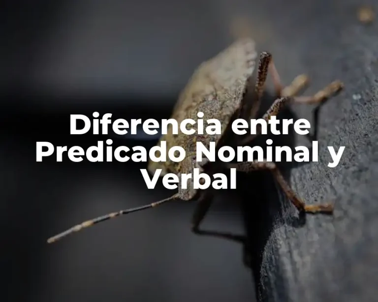 Diferencia entre Predicado Nominal y Verbal