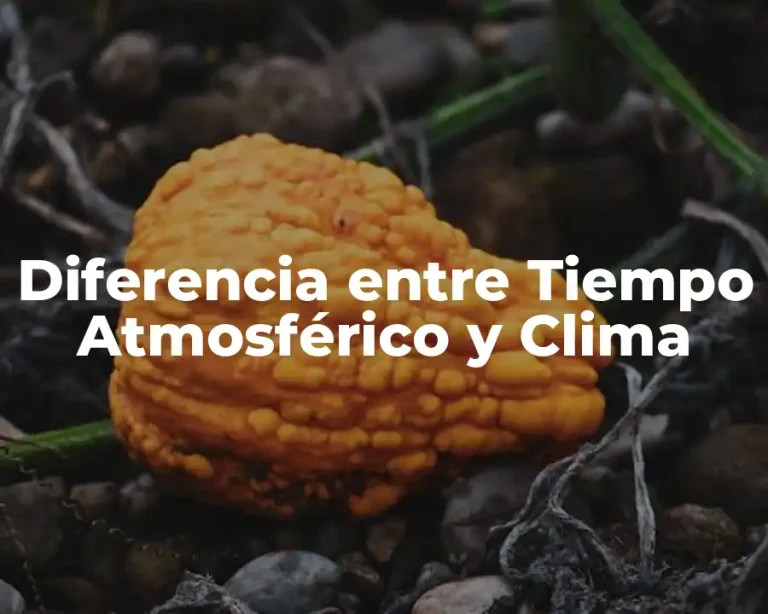Diferencia entre Tiempo Atmosférico y Clima