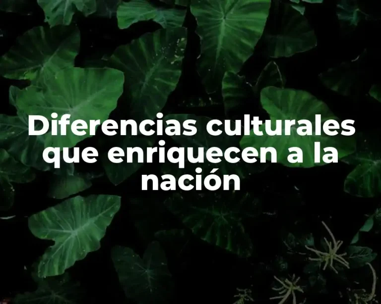 Diferencias culturales que enriquecen a la nación