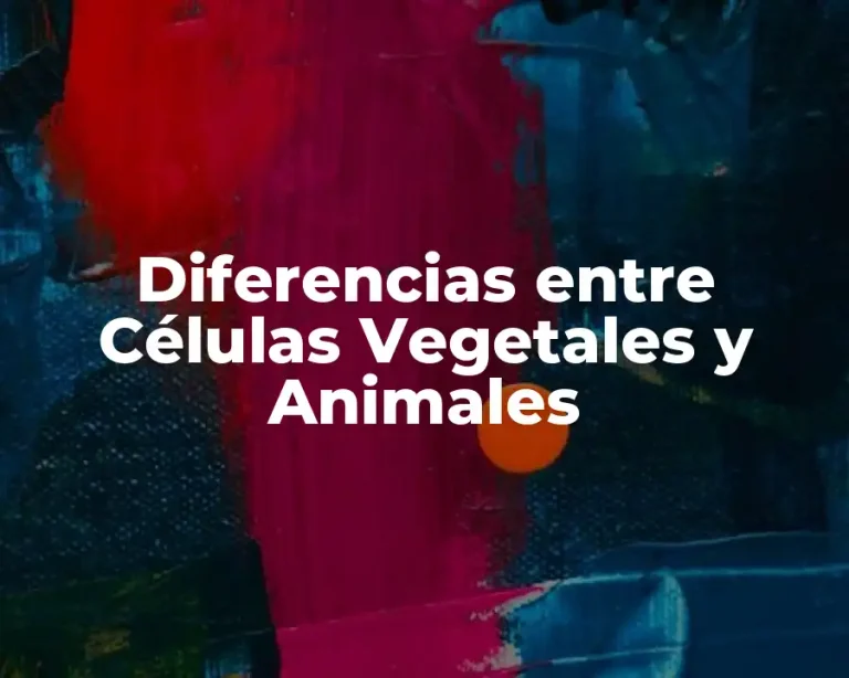 Diferencias entre Células Vegetales y Animales
