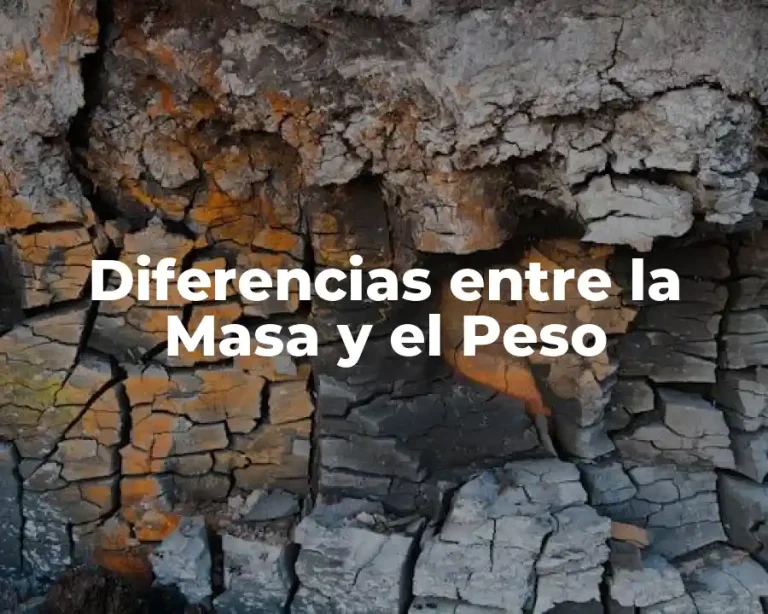 Diferencias entre la Masa y el Peso
