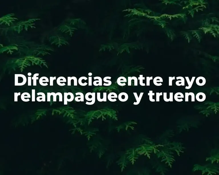 Diferencias entre rayo relampagueo y trueno