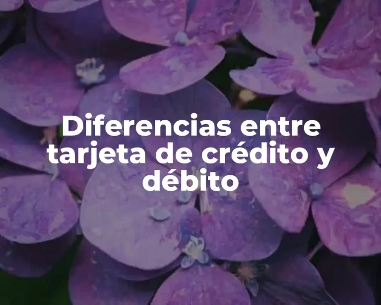 Diferencias entre tarjeta de crédito y débito