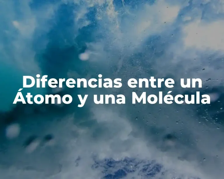 Diferencias entre un Átomo y una Molécula
