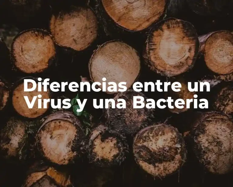 Diferencias entre un Virus y una Bacteria