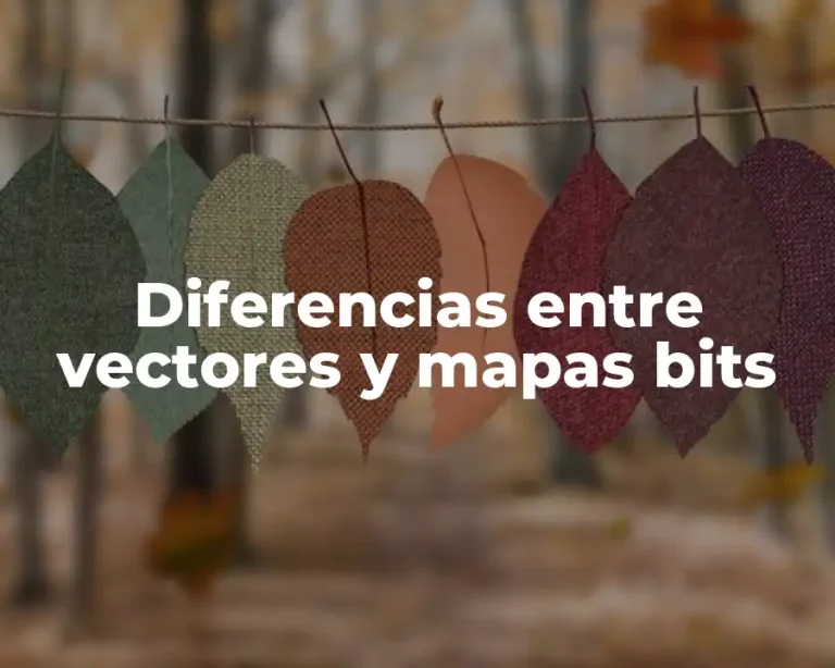 Diferencias entre vectores y mapas bits