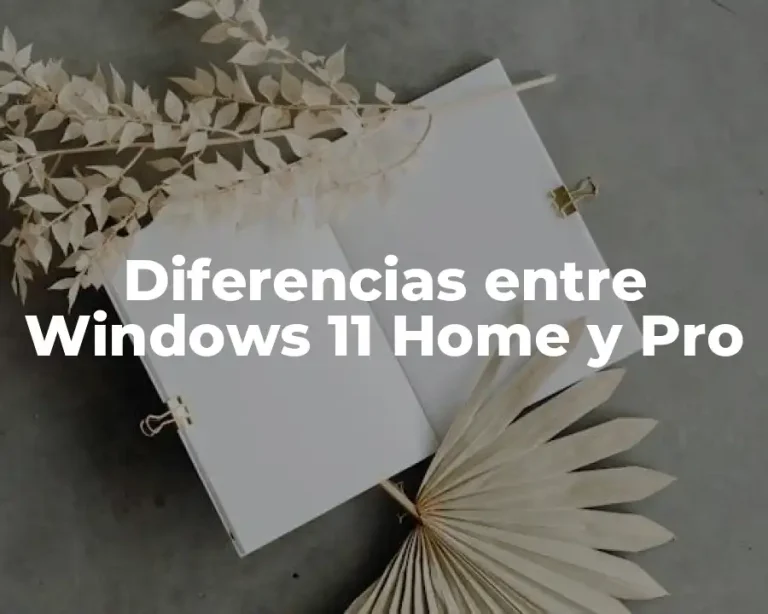 Diferencias entre Windows 11 Home y Pro