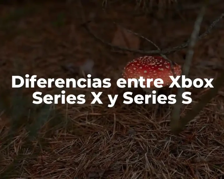 Diferencias entre Xbox Series X y Series S