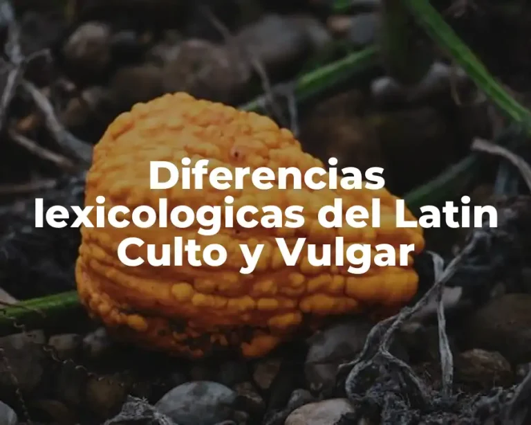 Diferencias lexicologicas del Latin Culto y Vulgar