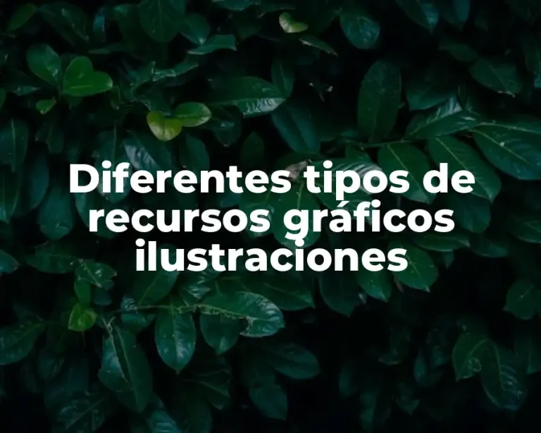Diferentes tipos de recursos gráficos ilustraciones
