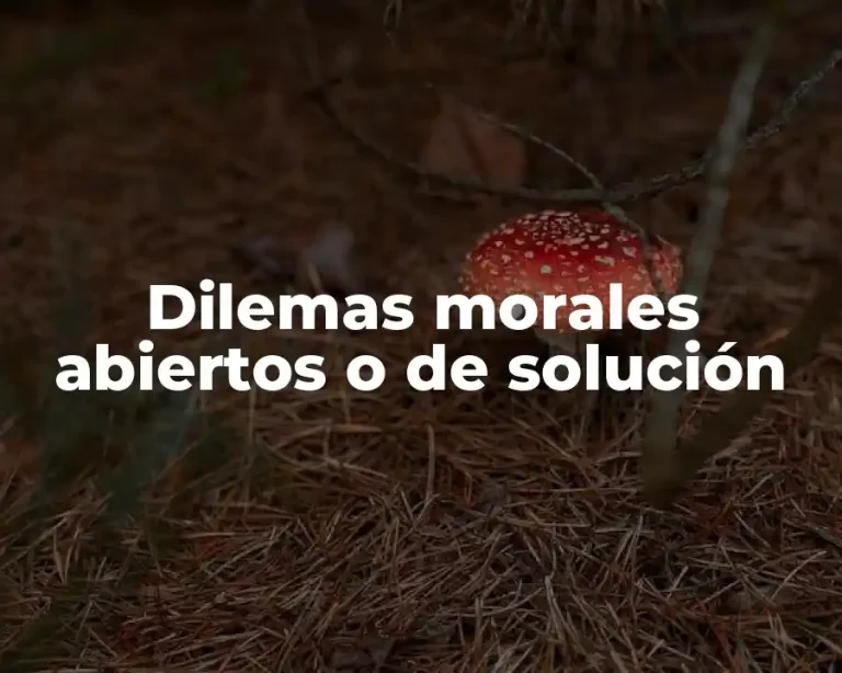 Dilemas morales abiertos o de solución