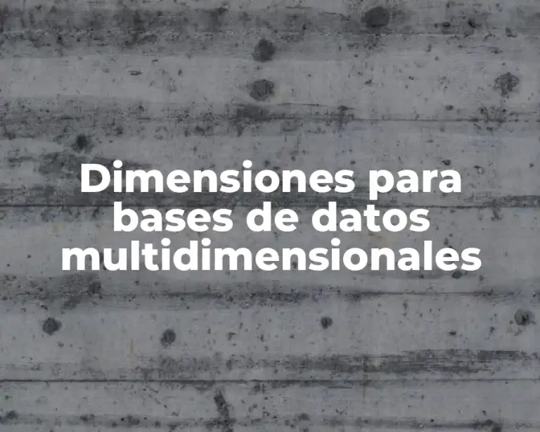 Dimensiones para bases de datos multidimensionales