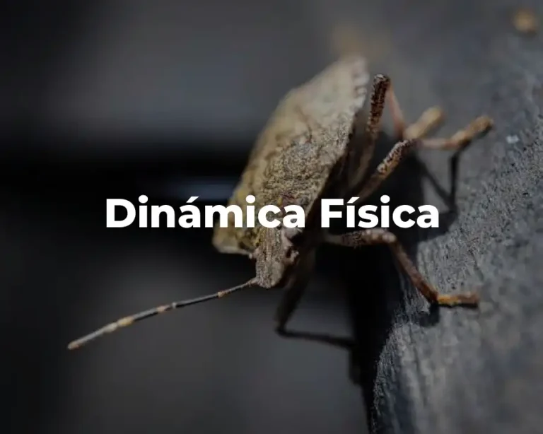 Dinámica Física