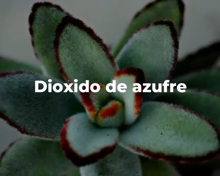 Dioxido de azufre